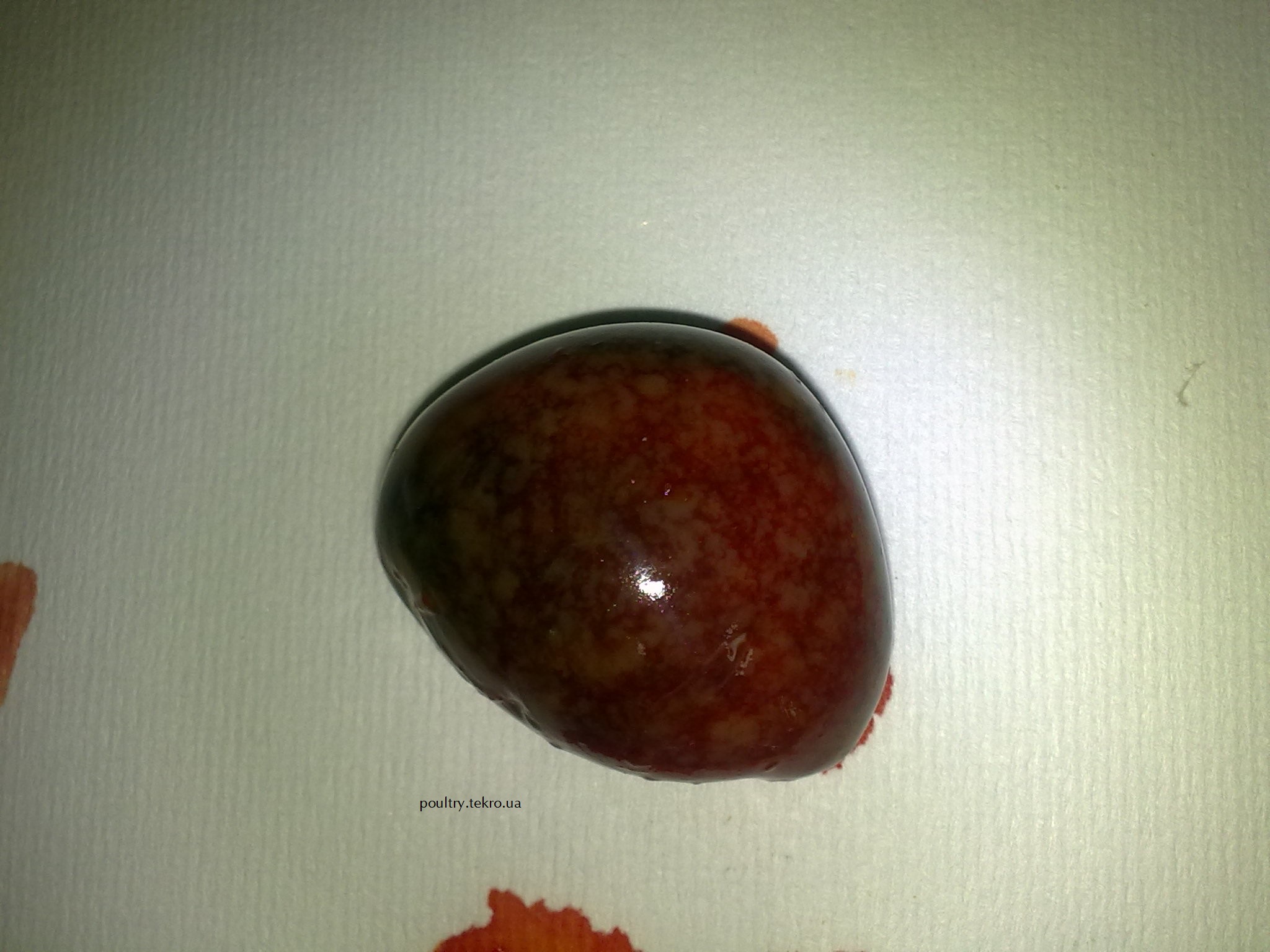 Zbilshennya selezinky z puxlynopodibnym rozrostannyam u parenximi