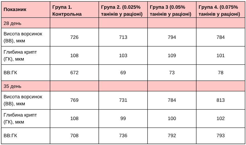 Tabl 5 Efekt vykorystannia ekstraktu derevyny kashtanu na morfolohichnu strukturu klubovoi kyshky