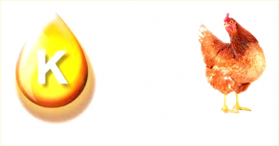 РОЛЬ ВІТАМІНУ К