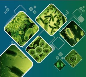 АНТИБІОТИКИ У ТВАРИННИЦТВІ: АЛЬТЕРНАТИВА ЧИ ЗАГРОЗА?