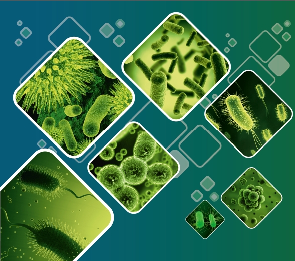 АНТИБІОТИКИ У ТВАРИННИЦТВІ: АЛЬТЕРНАТИВА ЧИ ЗАГРОЗА?